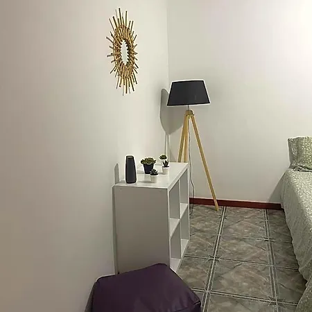 Catloc & Kitcat Local بارديس